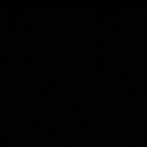 Meet your Posher, Lee